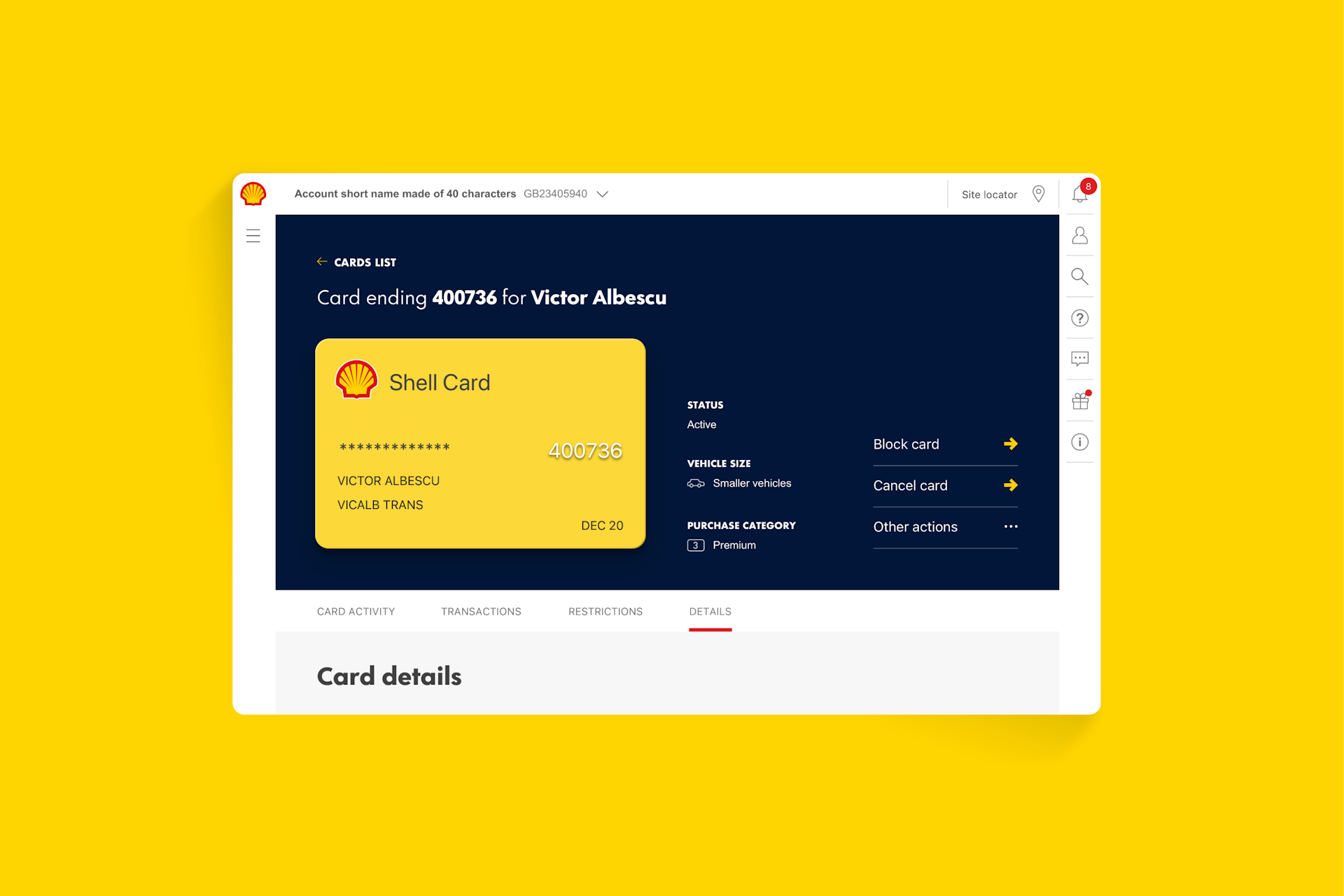 Graphic of an interface page that shows a credit card and account details at the top.