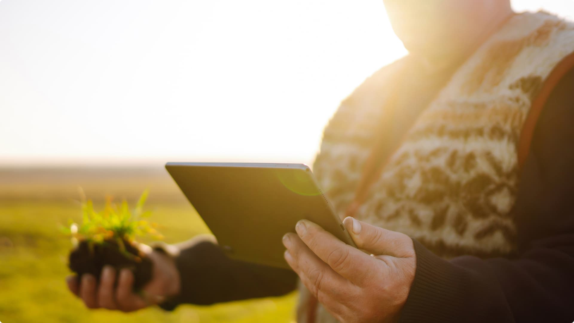 Person standing in a sunny field looking at a tablet Person standing in a sunny field looking at a tablet