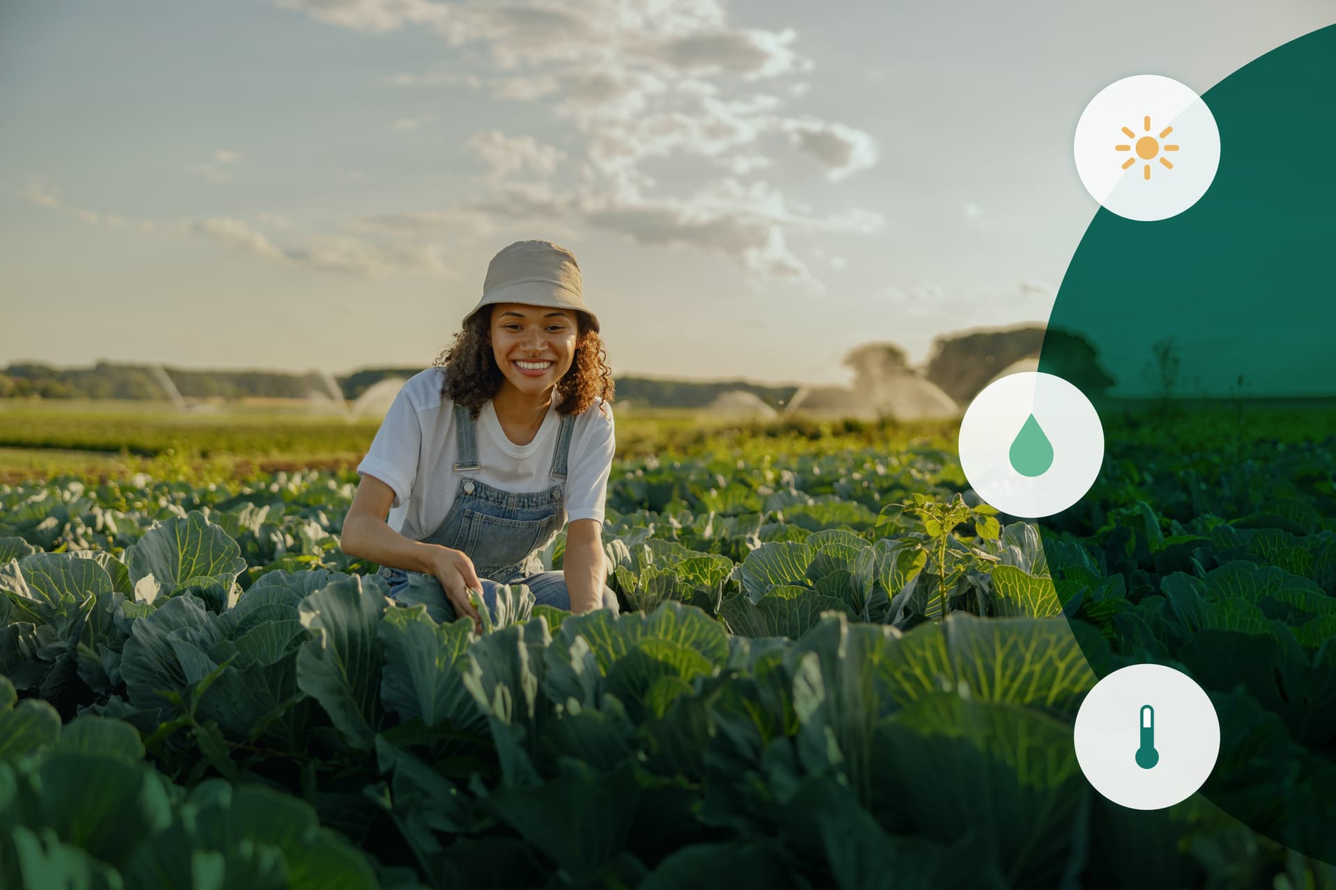 A woman in a sun hat crouches in a field full of crops A woman in a sun hat crouches in a field full of crops