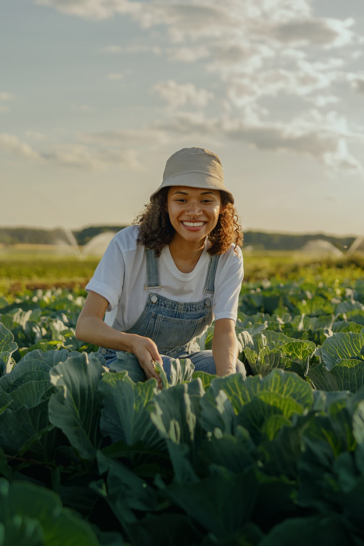 Image of woman in a cabbage farm, picking cabbages smiling in the sun Image of woman in a cabbage farm, picking cabbages smiling in the sun