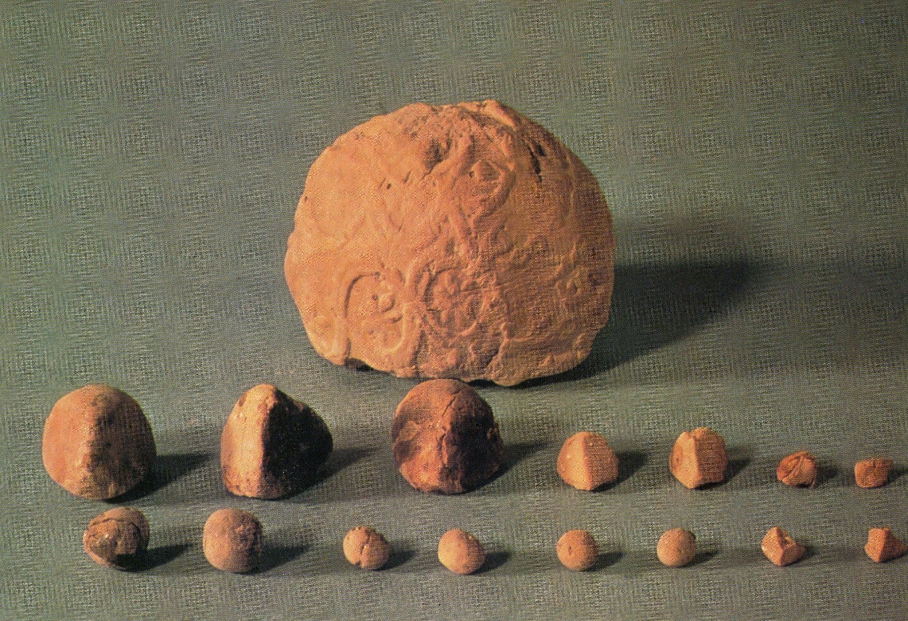Mesopotamian clay tokens that represented shapes and were used to count Mesopotamian clay tokens that represented shapes and were used to count