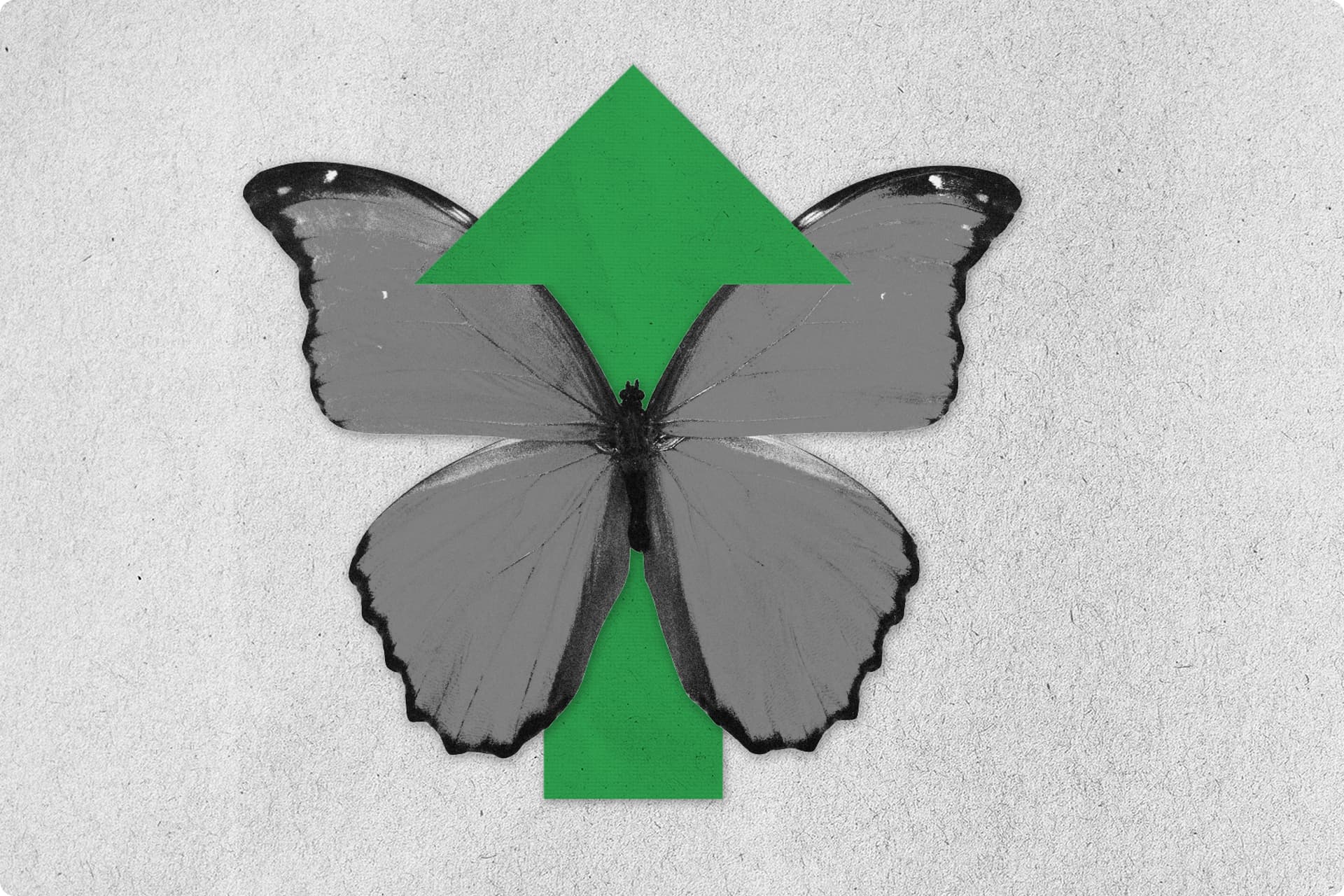 A butterfly with an arrow through it. A butterfly with an arrow through it.