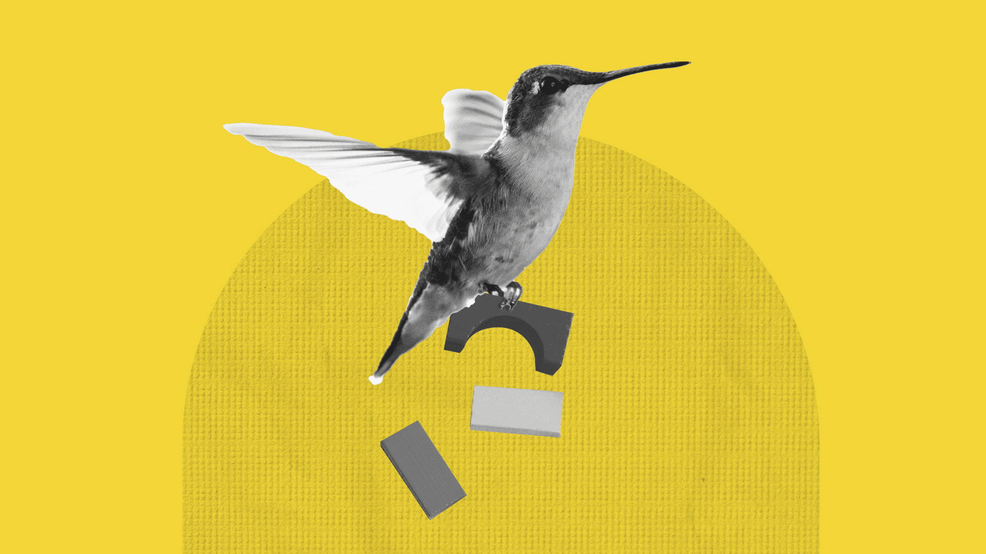 A hummingbird is hovering over a yellow background, it's carrying some toy blocks in its claws but dropped two of them. A hummingbird is hovering over a yellow background, it's carrying some toy blocks in its claws but dropped two of them.